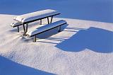 Snowy Picnic Table_11850
